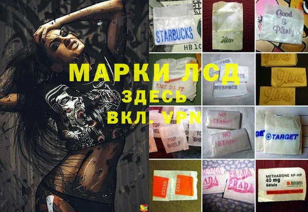 ECSTASY Баксан