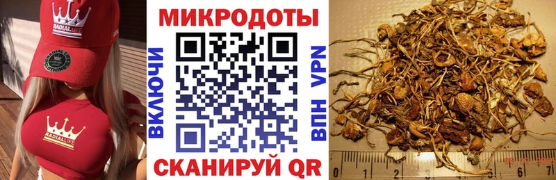 как найти закладки  omg зеркало  Галлюциногенные грибы мицелий  Белинский 